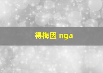 得梅因 nga